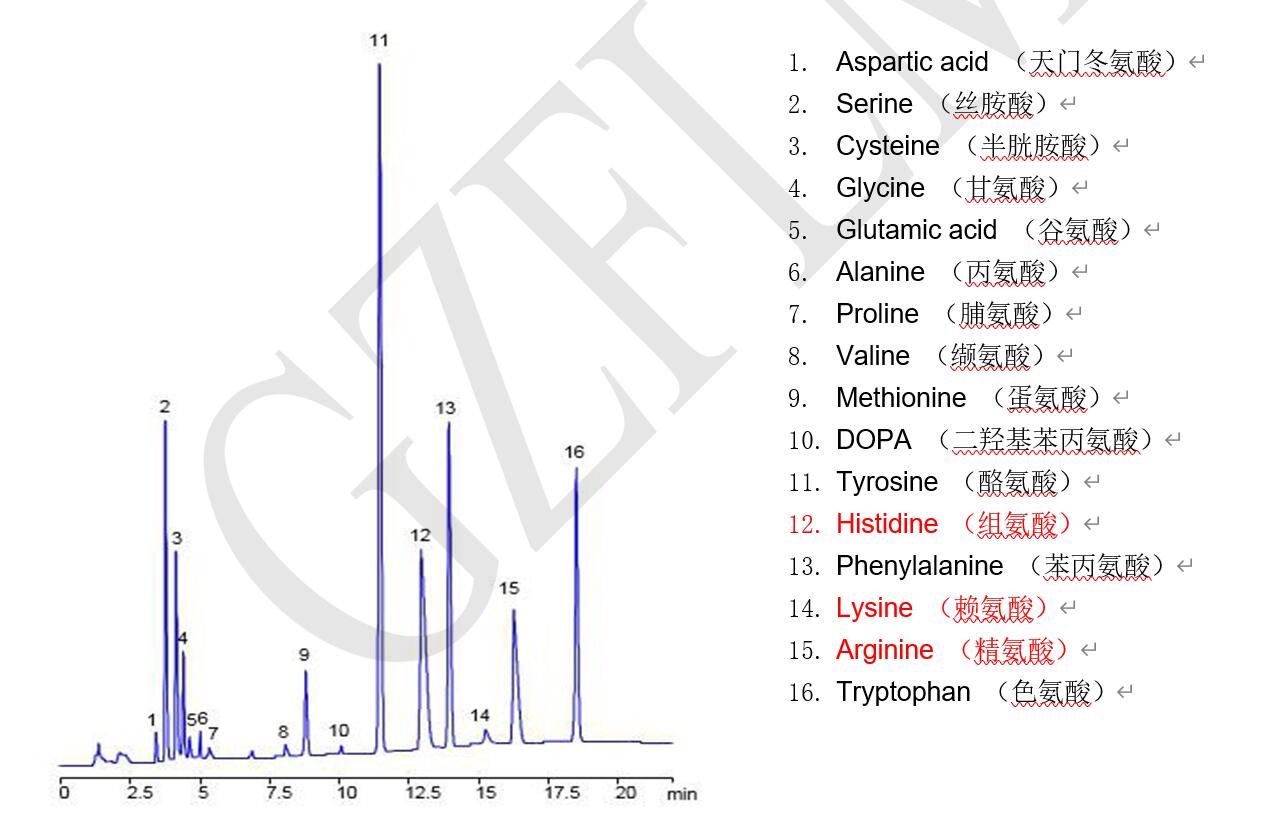 菲羅門液相色譜柱在高效液相中分析未衍生的16種氨基酸